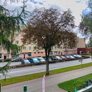 Lokal na sprzedaż