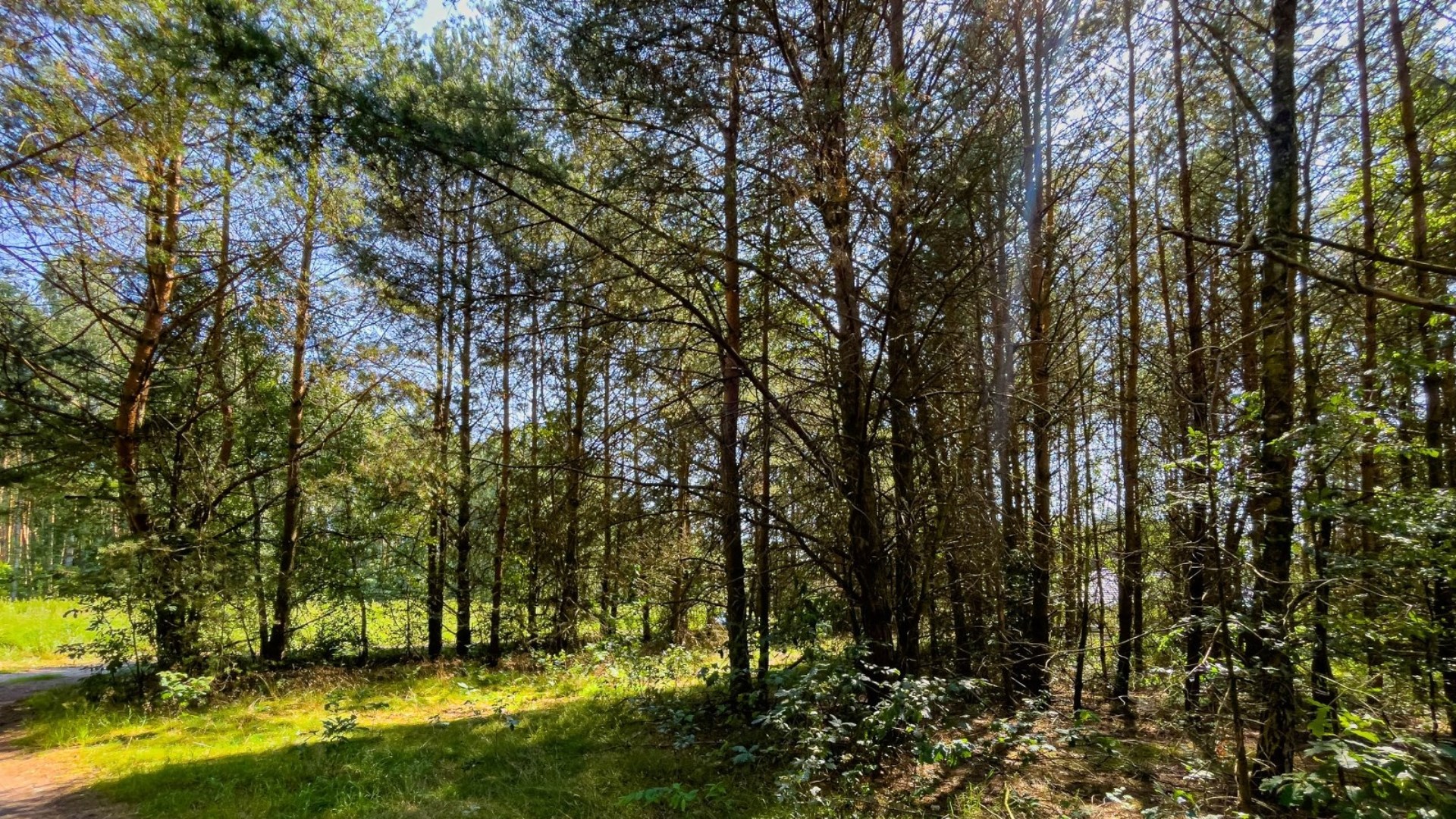 Działka na sprzedaż